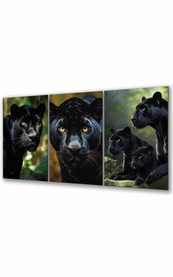 obraz szklany czarna pantera triptych