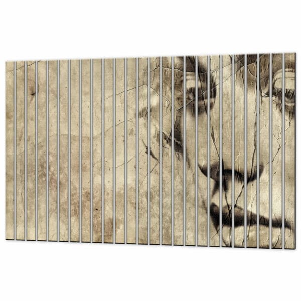 lamele dekoracyjne z nadrukiem kamienna twarz