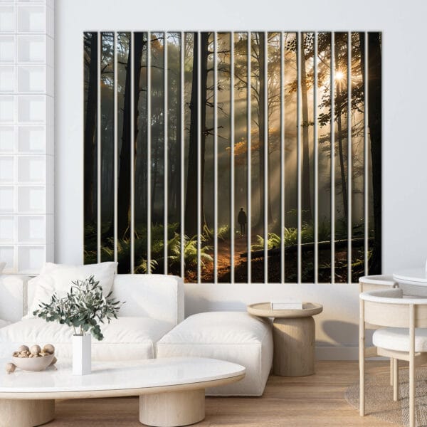 lamele scienne las przez przemijające słońce