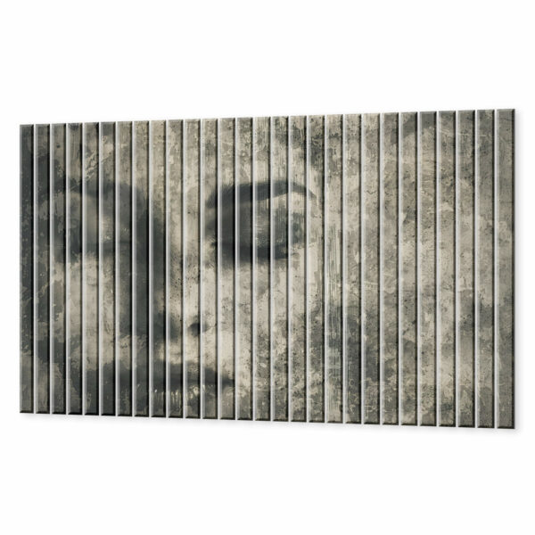 grawitowe lamele szklane kamienna dusza portret kobiety