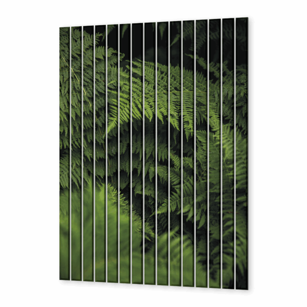 lamele scienne szklane paproc i natura