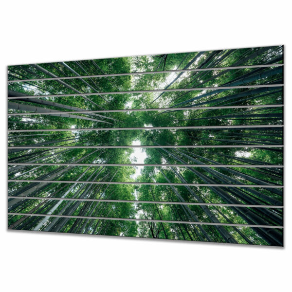panele szklane las bambusowy