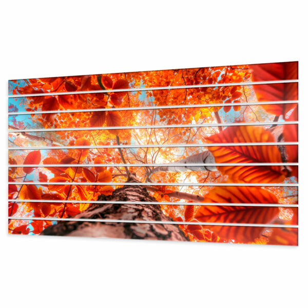 lamele szklane w przedpokoju