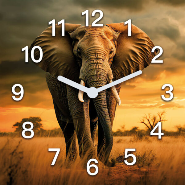 zegary scienne do salonu