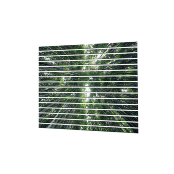 paneke z nadrukiem drzew