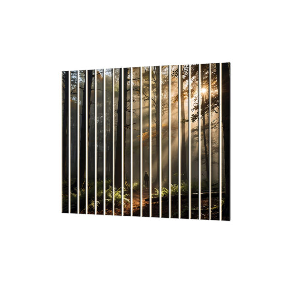 lamele dekoracyjne las z przemijającym słońcem