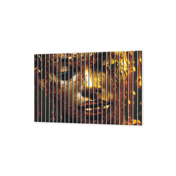 panele scienne złota magia afryki