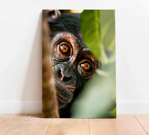 małpa obraz na szkle