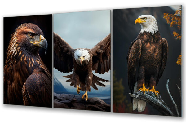 zestaw obrazow orzeł