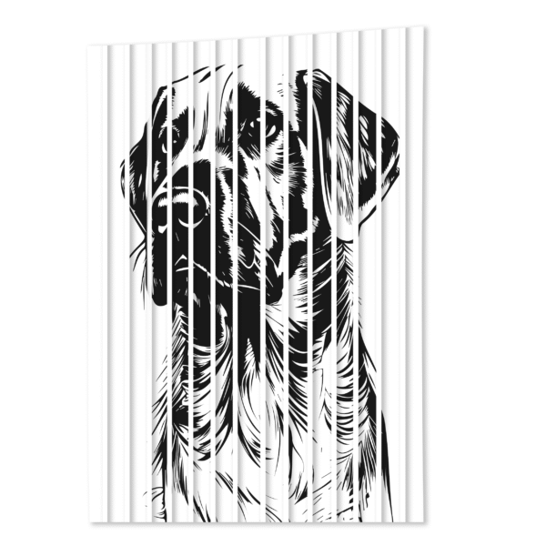 lamele scienne z psem