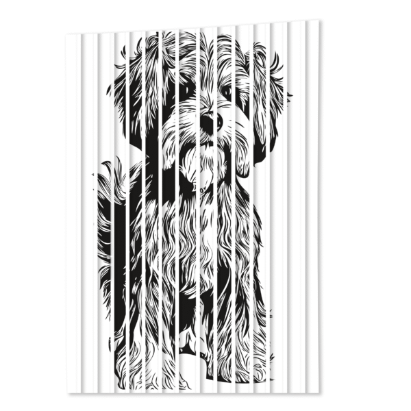 panele scienne shih tzu pies