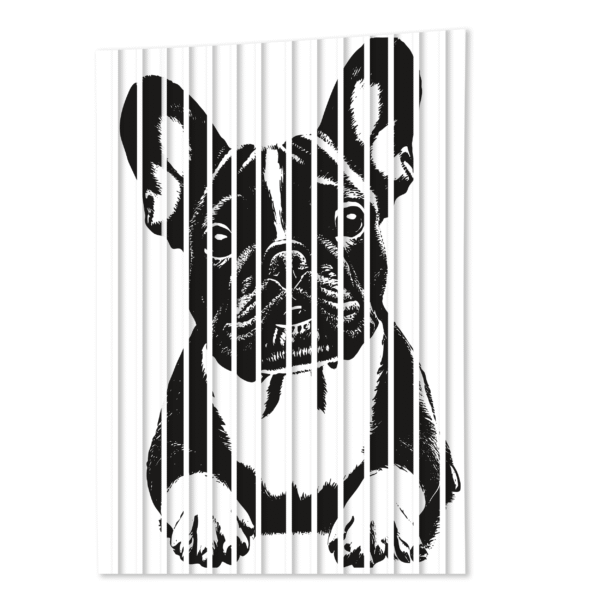 panele scienne z psem